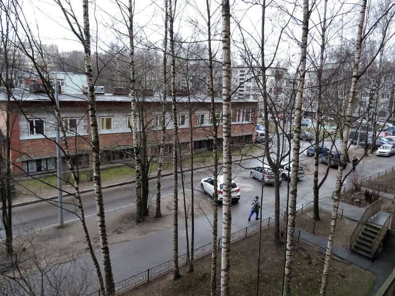 Птички по четвергам Птички по четвергам
