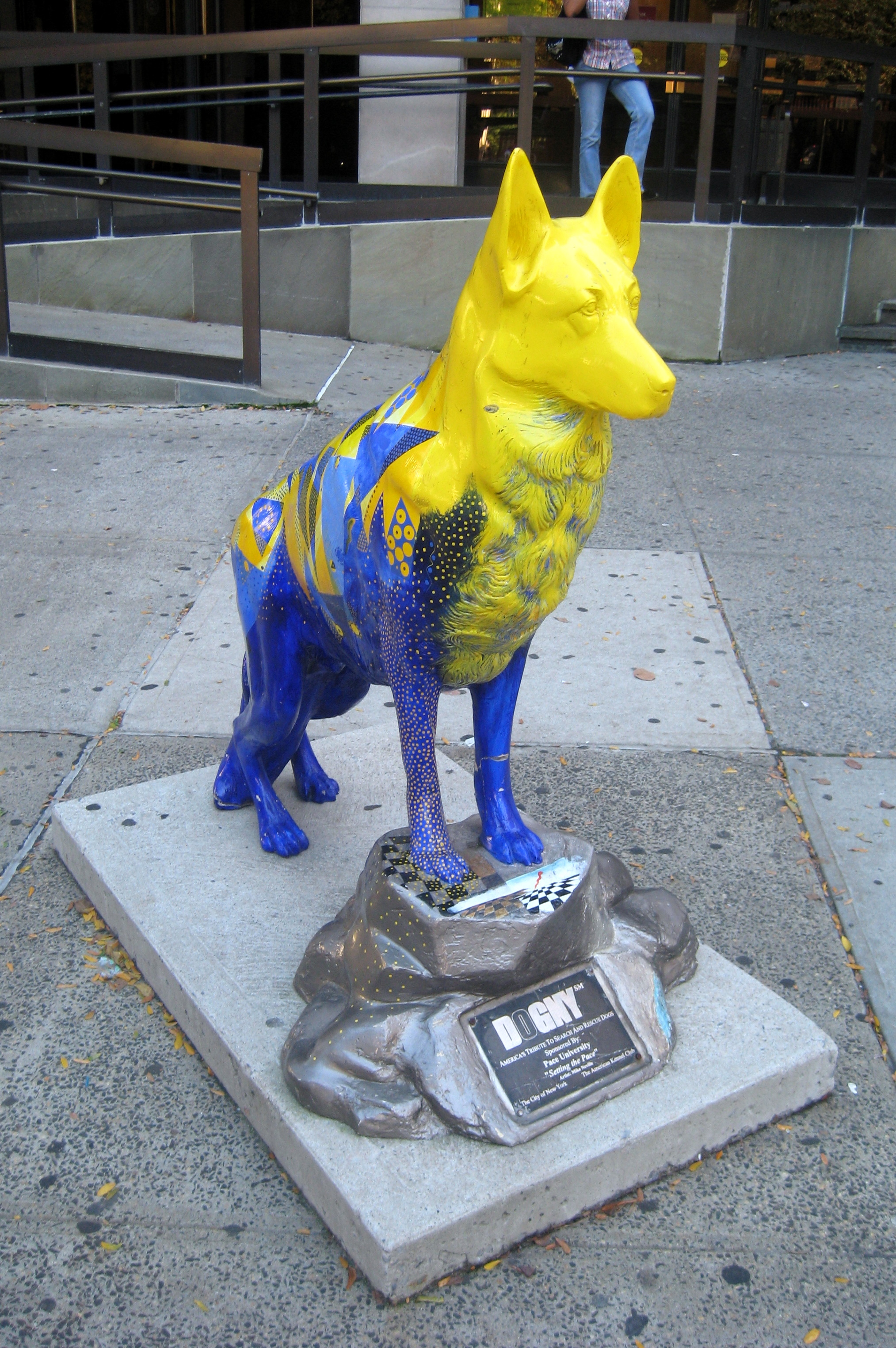 NYC - Pace University - DOGNY - Setting the Pace Setting the Pace by artist Mike Neville, is on permanent display in front of One Pace Plaza. DOGNY  Americas Tribute to Search and Rescue Dogs is a public art initiative commissioned by the American Kennel Club to honor the search and rescue dogs involved in post-September 11th operations and to raise money to support future endeavors. After the attacks on the World Trade Center, The Pentagon and Shanksville, PA, teams of handlers and dogs rushed in to assist in locating survivors. The AKC wanted to acknowledge these dogs with a public show of appreciation and a national effort to support their future missions. For this reason, AKC President and CEO Dennis B. Sprung created DOGNY. On the first anniversary of September 11, AKC and its affiliates, companies in the pet products industry, and many other organizations worked together to display over 100 uniquely painted sculptures of a Search and Rescue Dog throughout the five boroughs of New York City. In Thanksgiving of 2002, the DOGNY sculptures were brought to Sothebys for a charity auction. One hundred percent of funds raised by AKC for DOGNY (including donations, sponsorships, and auction sales) have been allocated in the 501(c)(3) AKC CAR Canine Support and Relief Fund for volunteer and professional canine search and rescue organizations throughout the country. To date, AKC has raised over $3 million for this cause.