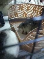 VFL.RU - ваш фотохостинг