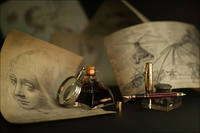 MG 9925sm AuroraLEdaVinci