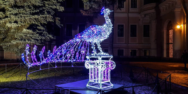 VFL.RU - ваш фотохостинг VFL.RU - ваш фотохостинг