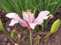 VFL.RU - ваш фотохостинг