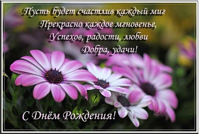 Tapтaлeтки & Ко