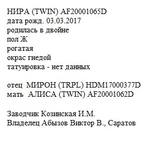 Нира анк Demosfen