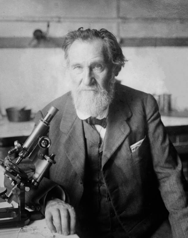 Elie Metchnikoff - Between ca. 1910 and ca. 1915 - LOC Elie Metchnikoff - Between ca. 1910 and ca. 1915 - LOC