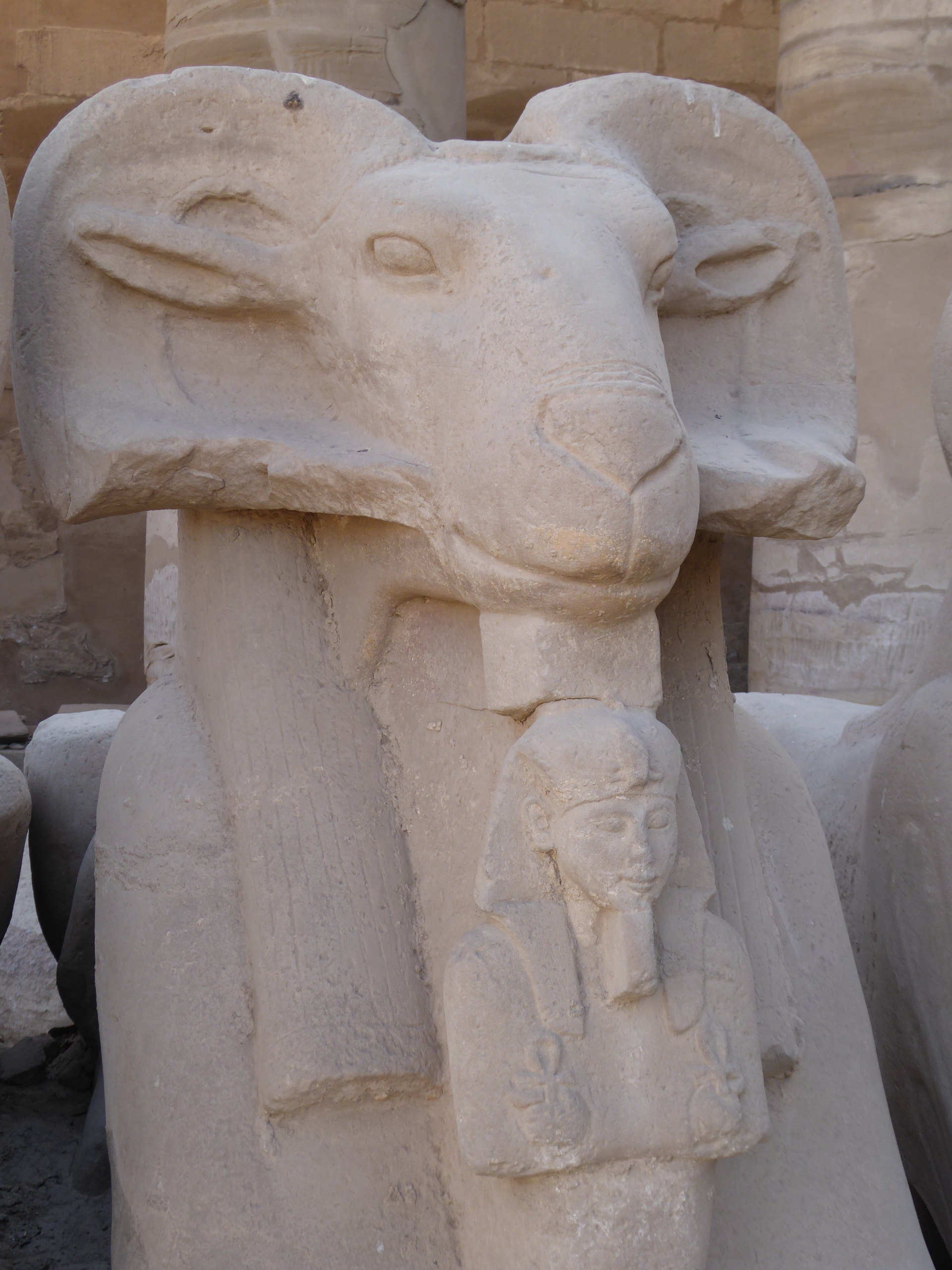 Ram Sphinx, Karnak One of the grandest and most rewarding monuments of the ancient world, the Temple of Amun at Karnak simply cannot fail to impress with its grandeur. It is a vast complex of buildings over three main precincts, the greatest of which is that of Amun with the enormous great temple at its heart. This is the main draw for all visitors to Karnak, with its avenue of sphinxes, huge courtyards and incomparable pillared hypostyle hall. It is not only one of Egypt's most important monuments but simply one of the greatest ancient sites anywhere. The great temple of Amun dominates the complex and is the work of successive dynasties throughout the New Kingdom, at which point the local god Amun had been established as the state god of Egypt (his name means 'the hidden one', as he only rose to prominence relatively late in Egyptian history, largely connected to the rising importance of Thebes as the centre of power, thus its local god rose with it). Some of the earliest parts at the east end date to the reign of Thutmoses I with successive sections added by other 18th & 19th Dynasty rulers, with great obelisks erected by Hatshepsut and much of the Hypostyle Hall and pylons built under Seti I and his son Ramesses II. The first courtyard and the main pylon were the latest additions to the temple under the reign of Nectanebo I and were never fully finished. The temple is approached through and avenue of large ram-headed sphinxes, each protecting a small pharoah figure between their paws, representing the god Amun (whose sacred animal was the ram) protecting the king. These statues are usually identified as dating to the reign of Ramesses II, but it is possible they may date further back to Amenophis III. Originally this avenue stretched all the way through what is now the first courtyard to the 2nd pylon and hypostyle hall, but after construction of the 1st pylon and courtyard those beyond the new facade were stored in rows either side of the new courtyard beyond the entrance pylon. The main facade is formed by the towering 1st pylon built under Nectanebo I and never finished, the stonework is still rough-hewn and lacking in decoration and the northern tower remains somewhat shorter than its southern neighbour. The southerrn tower has at its rear the remains of a mud-brick ramp used during construction. The courtyard beyond is vast and dotted with pillars and statues from various earlier stages in the growth of Karnak, including a towering column from a pavilion built by Nubian Pharoah Taharqa, two colossi of Ramesses II (one usurped later by Pinedjem) and more of the ram-sphinxes that once lined the approach. Beyond the courtyard is the more ruinous 2nd pylon which leads to the most famous part of the Karnak Temple complex, the incredible Hypostyle Hall, sometimes called the 'Hall of a Hundred Columns' owing to the great multitude of thick, round columns in every direction, like a forest of enormous tree-trunks in stone. There are 134 columns in all in 16 rows, the central axis columns being taller with palm-capitals, whilst the rows either side of this carried a clerestorey of stone-latticed windows, many of which survive (originally these would have been the main light source when the hall had its roof). The decoration on the columns and side walls dates mostly to the reign of Ramesses II and is in sunken relief, but some earlier work from Seti I's reign in raised-relief can be seen on the north side. Continuing along the main eastern axis the great temple becomes more ruinous and harder to follow, but several major features stand out such as the obelisk of Hatshepsut and the much later barque shrine, whilst some distance beyond the festival hall of Thutmosis III, a pillared structure that represents the most substantial remaining part of the eastern sections of the temple and retains some coloured decoration inside. In addition to the main eastern axis of the temple there is the southern axis that is formed of four courtyards and further pylon towers and gates which extend towards the precinct of Amun's consort Mut (a much more ruined site reached by equally ruined sphinx avenues to the south, one of which also connects with that leading to Luxor Temple a mile or so further on).. These sections of the complex are mostly closed to visitors at present with stabilisation works ongoing. There are further smaller temples and areas of great interest around the huge Karnak site, which we have visited on a previous trip (we once spent an entire day here in the pre-digital 1990s), but sadly time was limited on this occasion to focusing on the major sections of the great temple itself, so we hope to return to spend longer here another time. en.wikipedia.org/wiki/Karnak