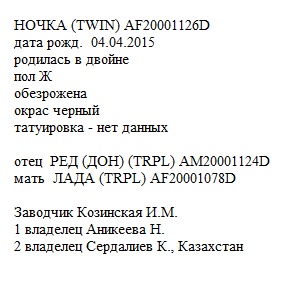 Ночка анк Demosfen