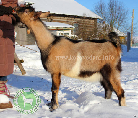 Солнечный Ветер 3 Наталия =)