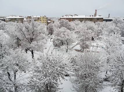 Публикувано изображение