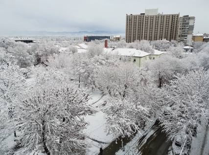 Публикувано изображение