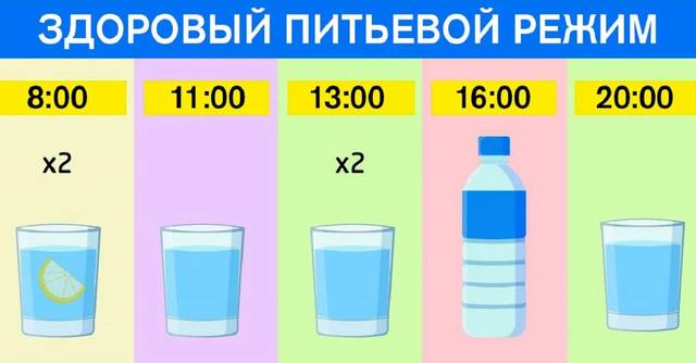 Хочешь быть газелью? Готовь вместе с Гюзелью!