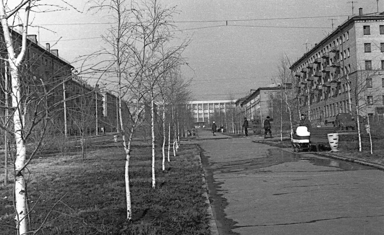 Весна 1973 г. Аллея по ул. Восход