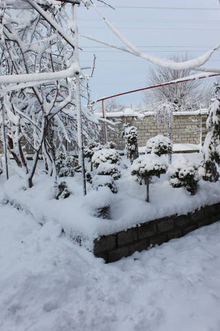 Чайная беседка