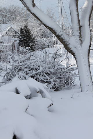 Чайная беседка