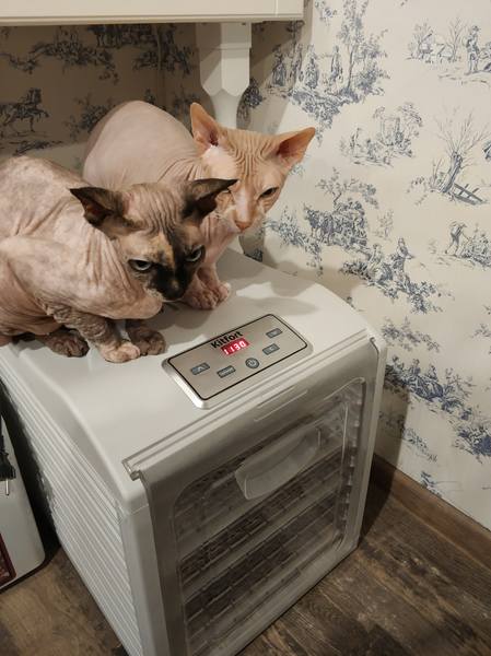 Посмеялся сам - поделись с другом!!!