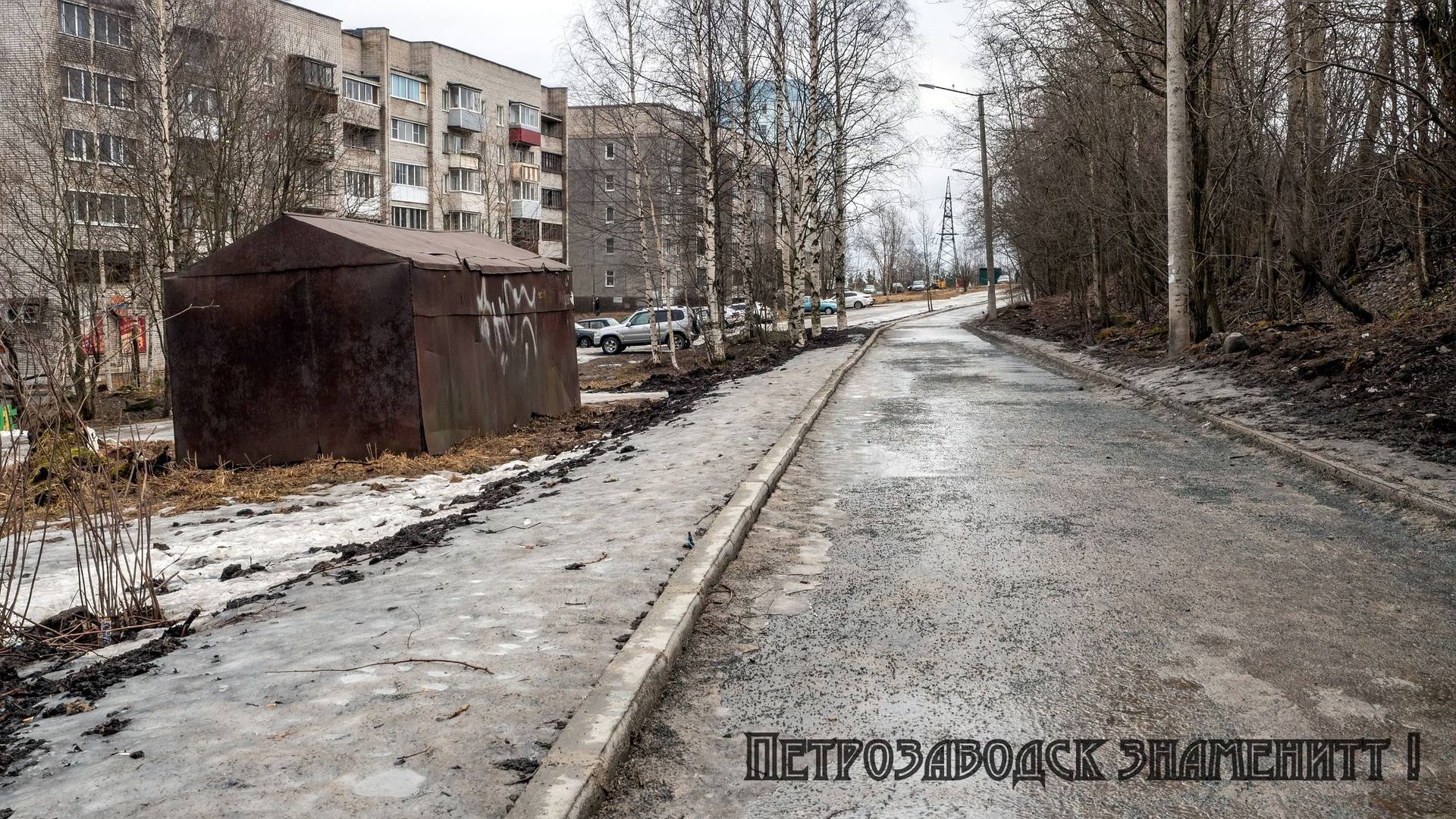 Каменноборская аллея. Петрозаводск.