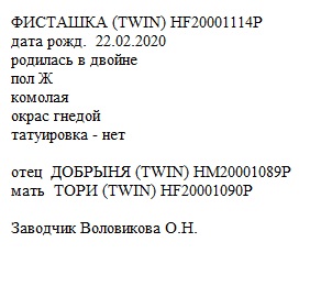 Фисташка анк Ольга 293