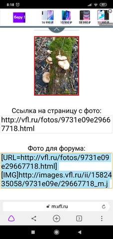 user posted image