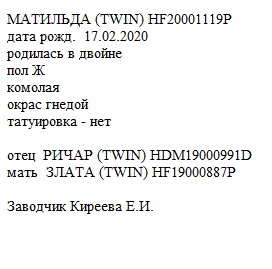 Матильда анк ElenaK