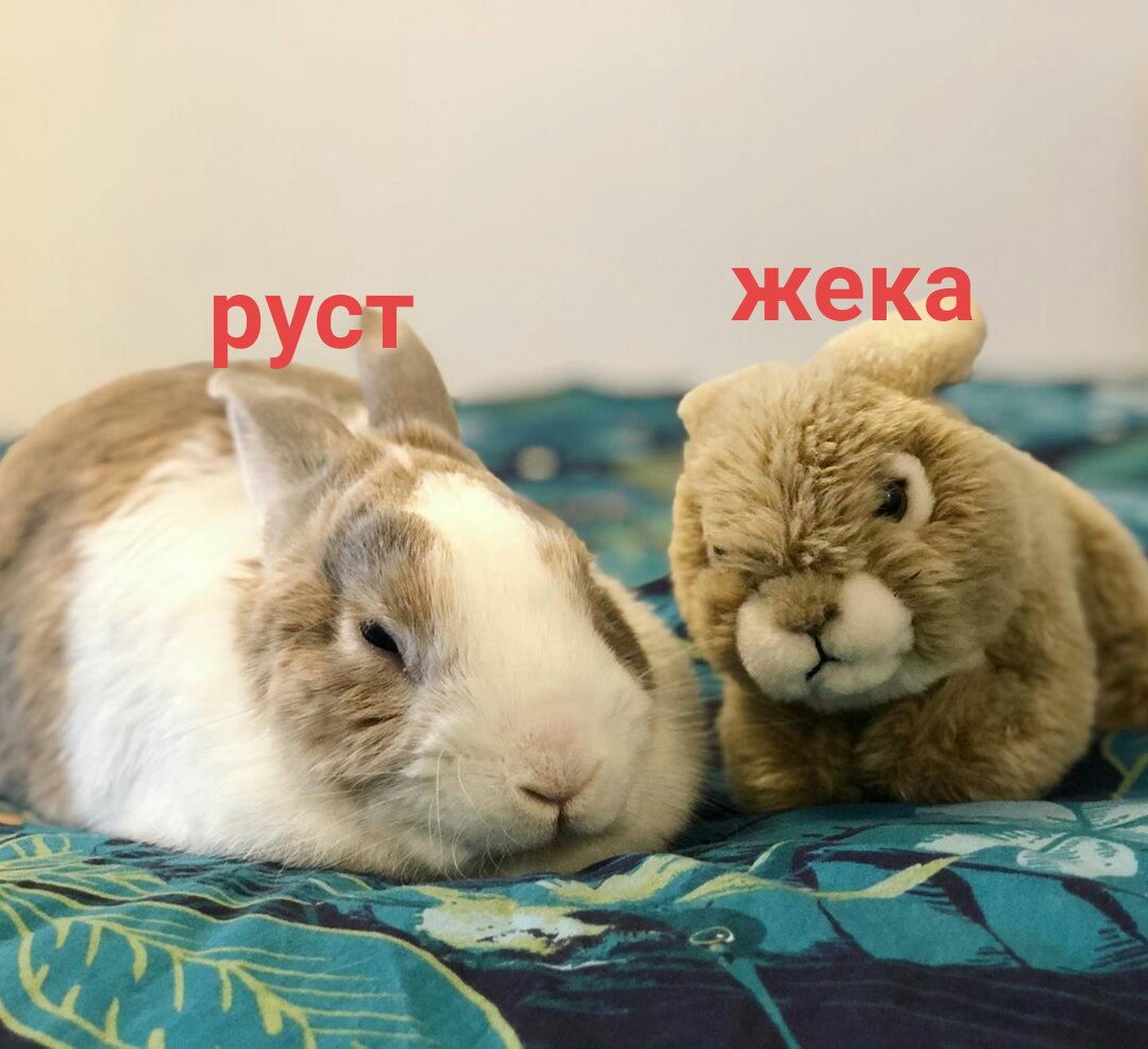 29711056.jpg
