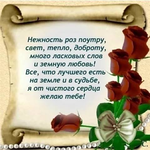 Tapтaлeтки & Ко