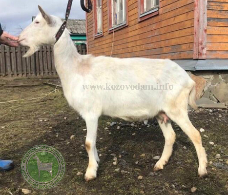 Венда 1 Кристина П.