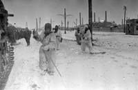 VFL.RU - ваш фотохостинг