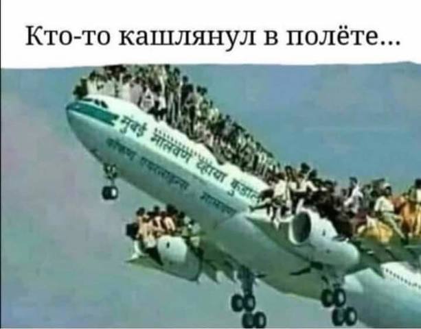 29901483_m.jpg