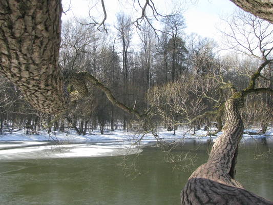 VFL.RU - ваш фотохостинг VFL.RU - ваш фотохостинг
