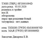 Тэзи анк liona