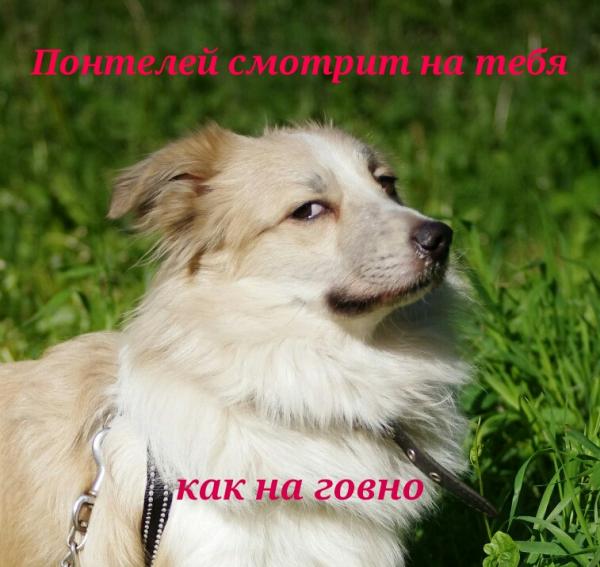 29926077.jpg
