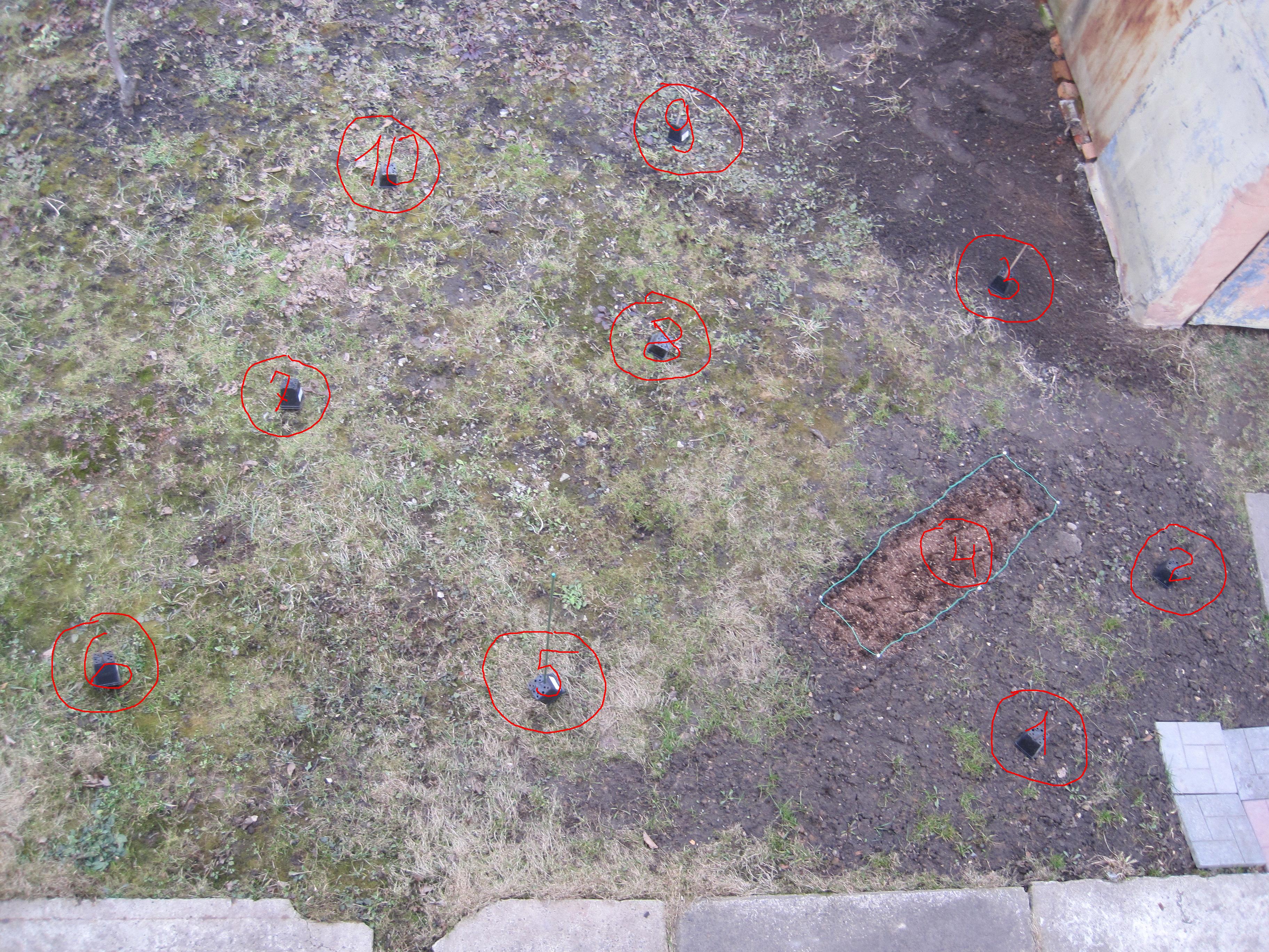 Расположение сортов хост.