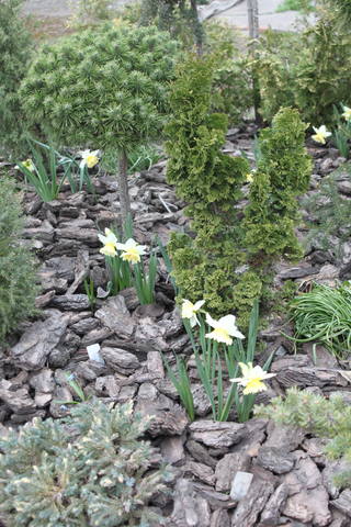 Чайная беседка