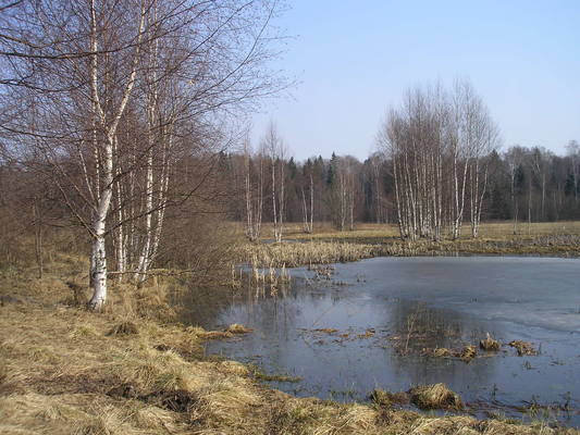 VFL.RU - ваш фотохостинг VFL.RU - ваш фотохостинг