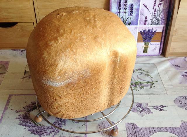 Tapтaлeтки & Ко