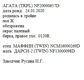 Агата анк Ирина Русина