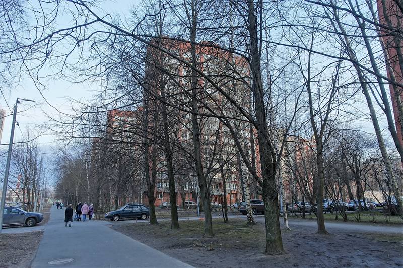 Окраины Петербурга Окраины Петербурга