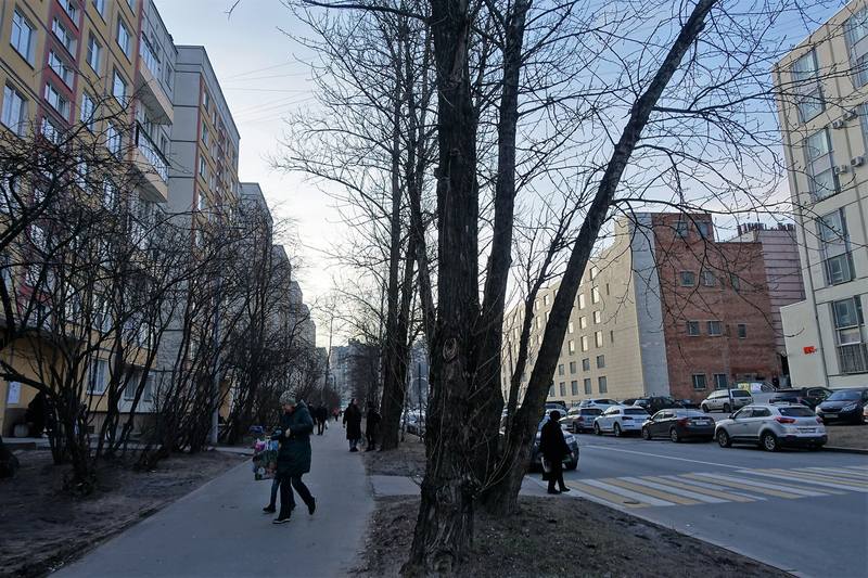 Окраины Петербурга Окраины Петербурга