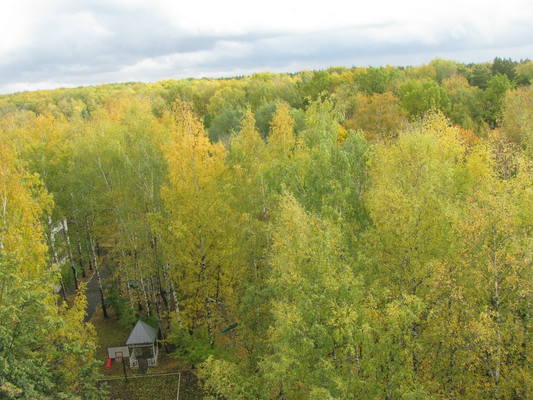 VFL.RU - ваш фотохостинг VFL.RU - ваш фотохостинг
