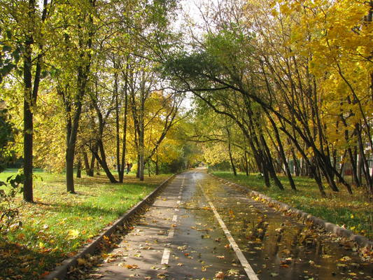 VFL.RU - ваш фотохостинг VFL.RU - ваш фотохостинг