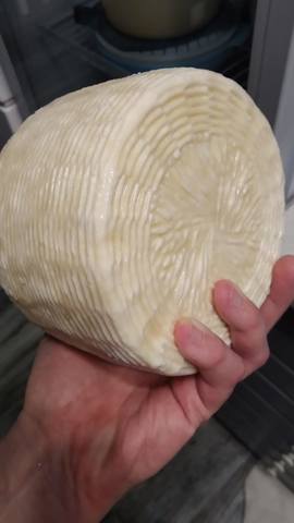 Сырные истории, или Сыроварня дома