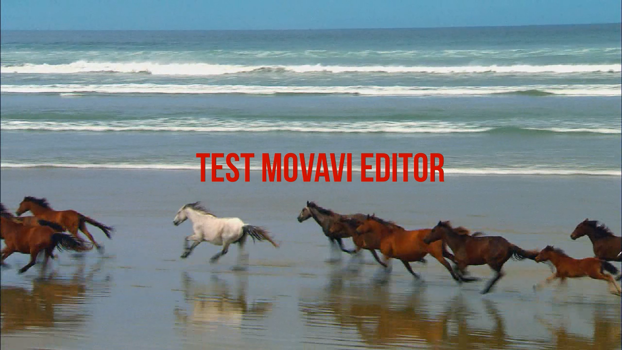TEST MOVAVI.mp4 snapshot 00.03 [2020.04.07 19.59.32]
