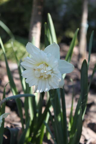 Чайная беседка