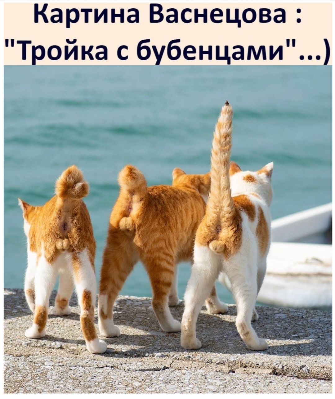 Посмеялся сам - поделись с другом!!!