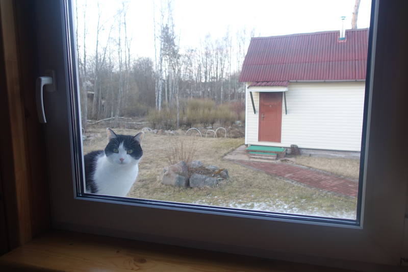 Дача Дача