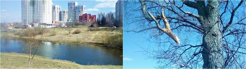 VFL.RU - ваш фотохостинг VFL.RU - ваш фотохостинг