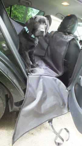 Автогамаки для перевозки собак в автомобиле 30191901_m