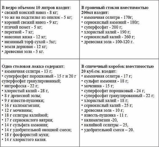 Возьмите шефство над новичком (садоводом-огородником)