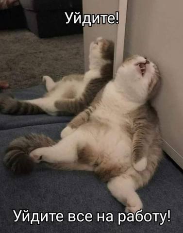 Посмеялся сам - поделись с другом!!!