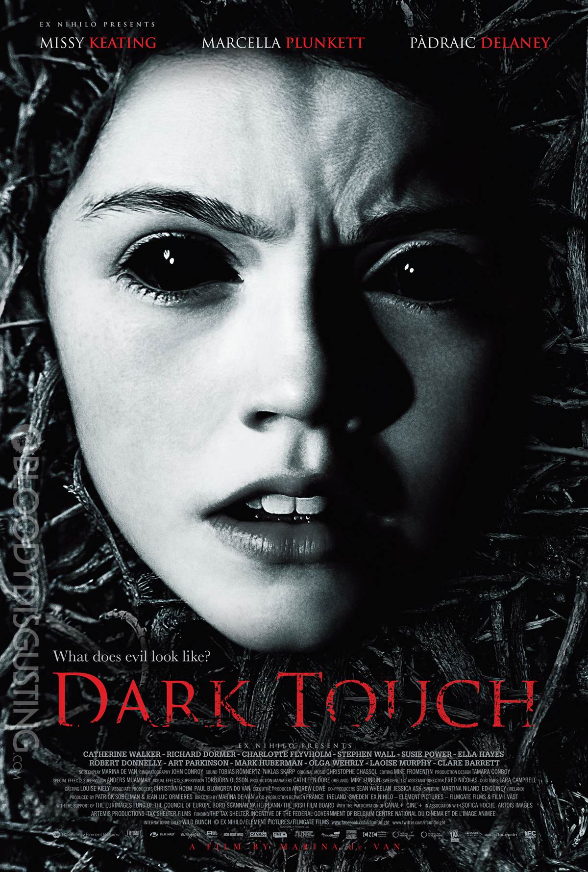 dark-touch-poster-2013